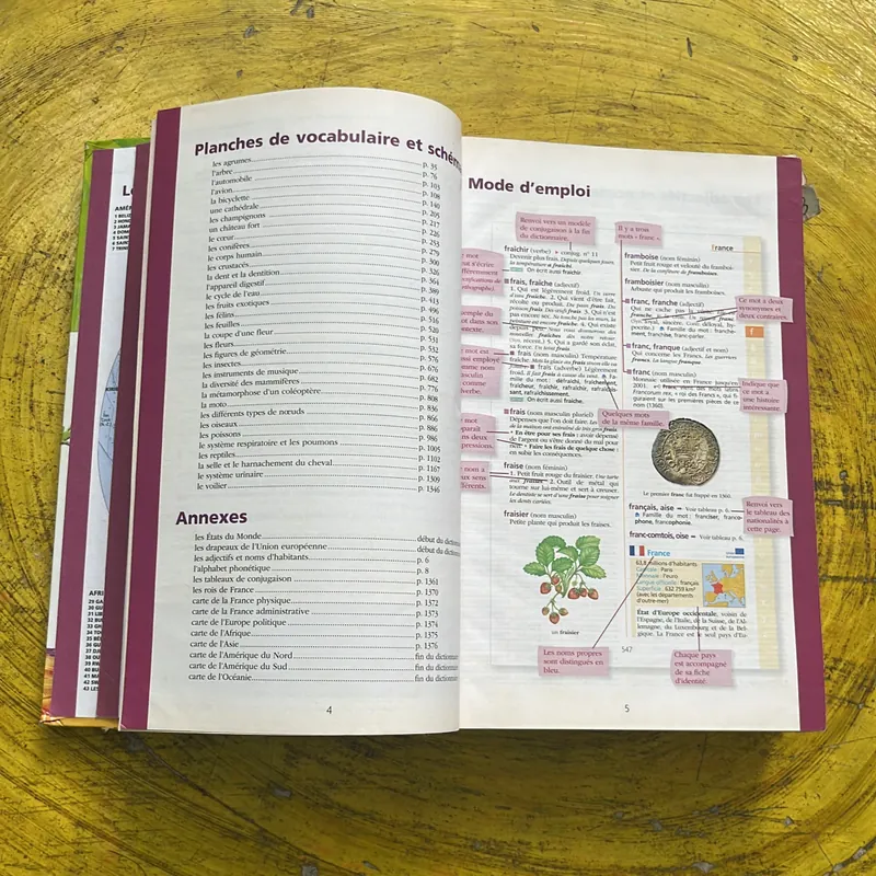 DICTIONNAIRE HACHETTE JUNIOR CE-CM 8-11 ANS 697410