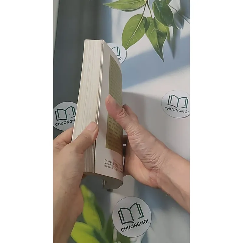 Công ty - Phan Hùng Nhiên 688482