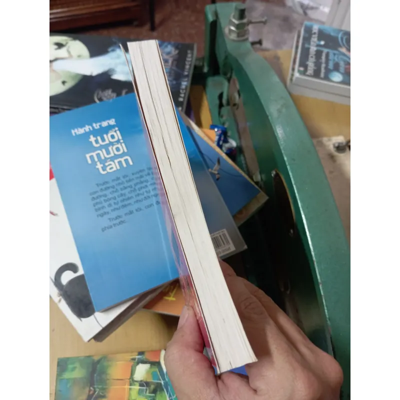 Phong tục cổ truyền Việt Nam và các nước 1013224