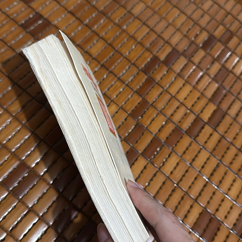 Hoàng Lê Nhất Thống Chí - Ngô agia Văn Phái 521759