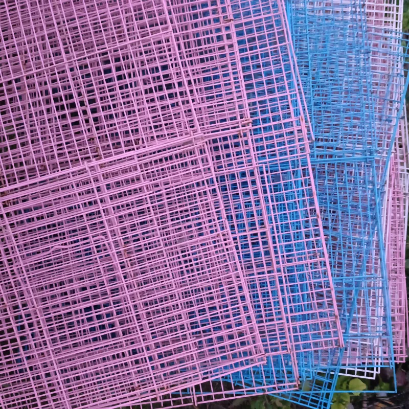 Lòng chim...  934465