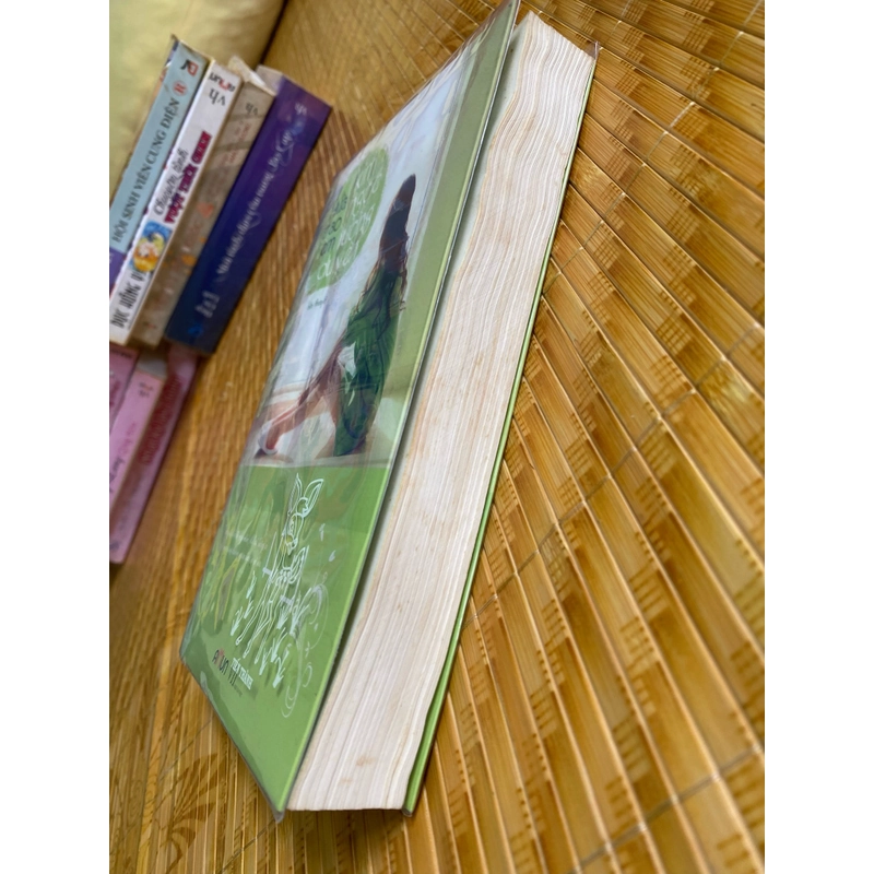 Hứa trao em kim ngọc lương duyên 507657