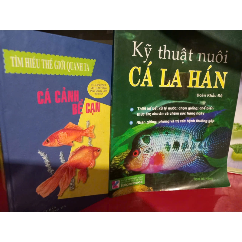 kỹ thuật nuôi cá la hán 547607