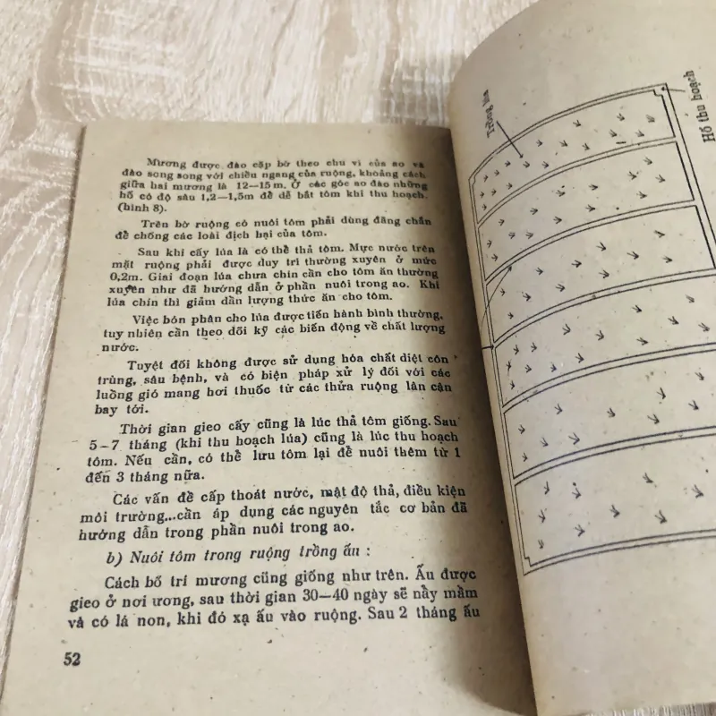 KỸ THUẬT NUÔI TÔM CÀNG XANH  1027909