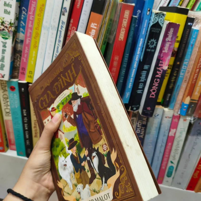 Không gia đình 🌱 574865