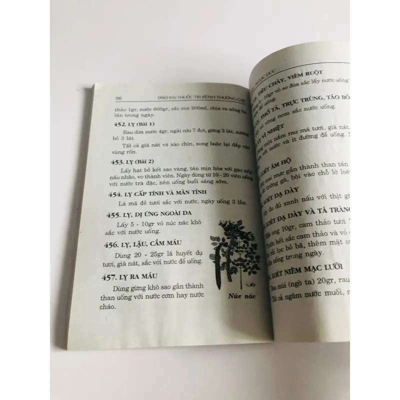 980 BÀI THUỐC TRỊ BỆNH ( Lương Y Quách Văn Nguyên) 693789