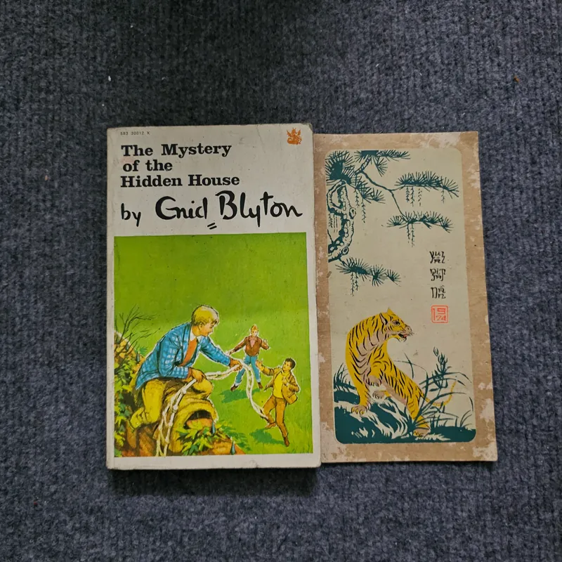 The mystery of the hiden house 740728