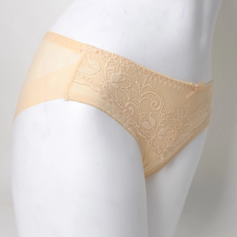 Quần lót thun lạnh phối ren & lưới, lưng vừa, hàng chất lượng tốt, size 45-62kg 445721