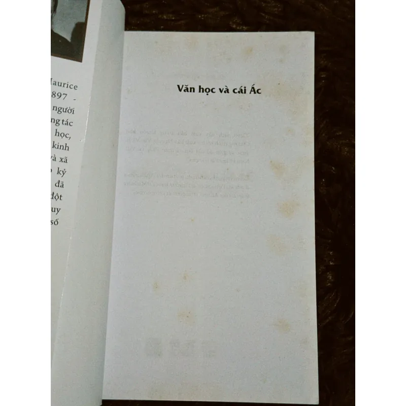 Văn học và cái ác 701866