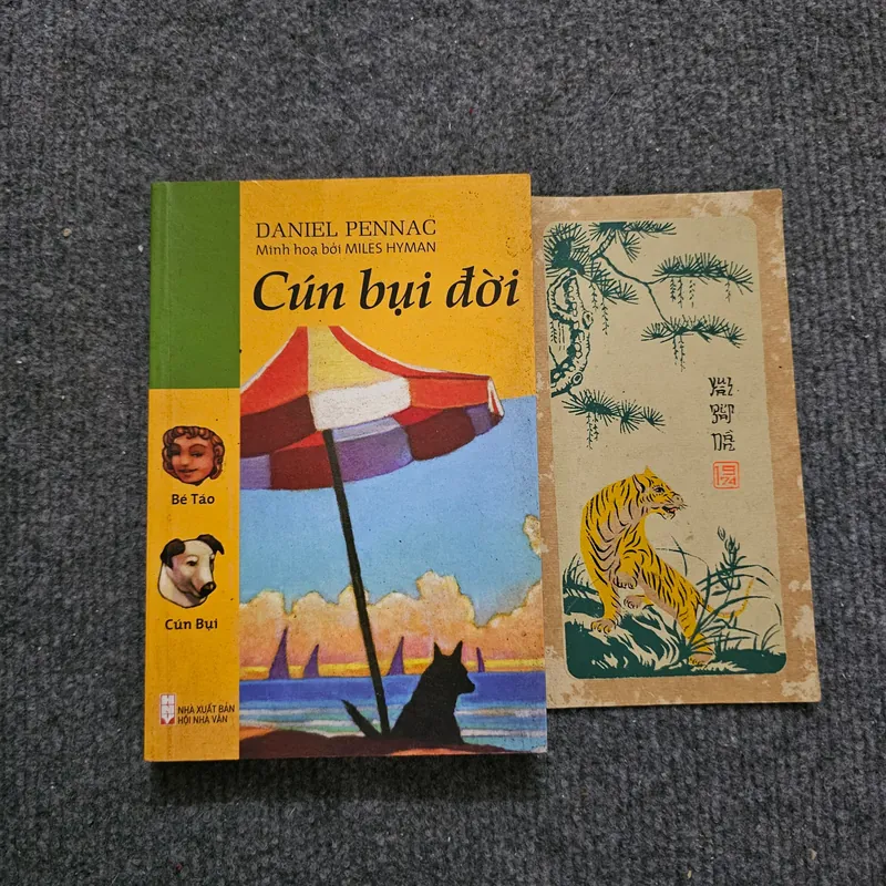 Cún bụi đời 734635