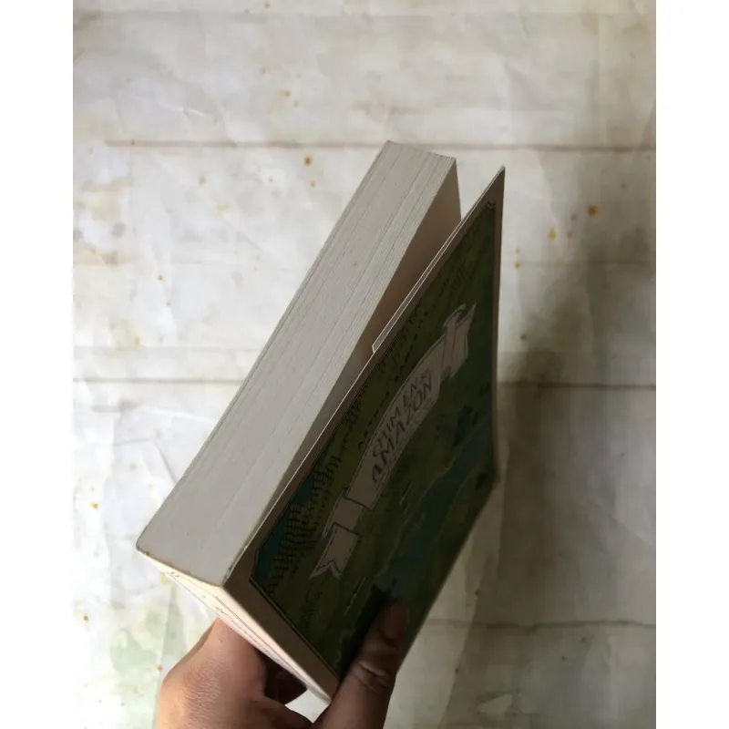 Chim Én Và Amazon: Mùa Hè Trên Hoang Đảo - Arthur Ransome 756696