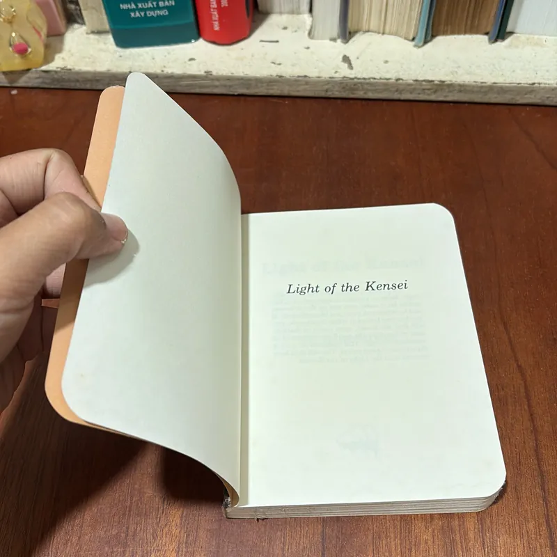 English Books: Light Of The Kensei - A Guide To The Way Of The Warrior Sage - G. Bluestone 726968