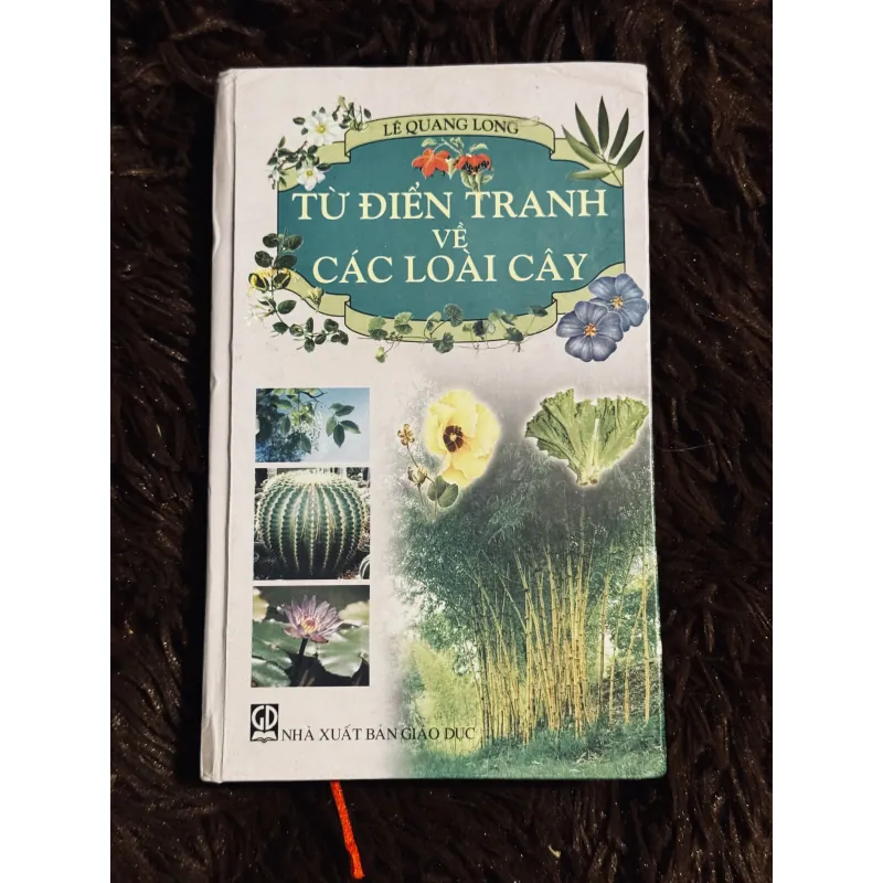 Từ điển tranh về các loài cây 932519