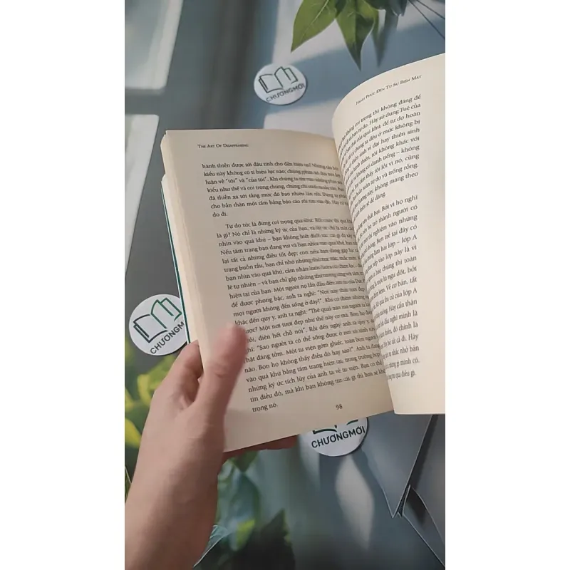 Hạnh Phúc Đến Từ Sự Biến Mất - Ajahn Brahm 961190