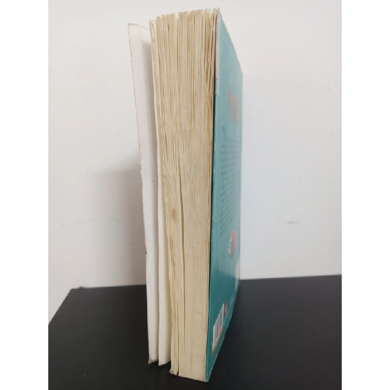 Bông Hồng Trên Ngọn Đồi Xanh (2020) - Louisa May Alcott Mới 80% HCM.ASB2301 356144