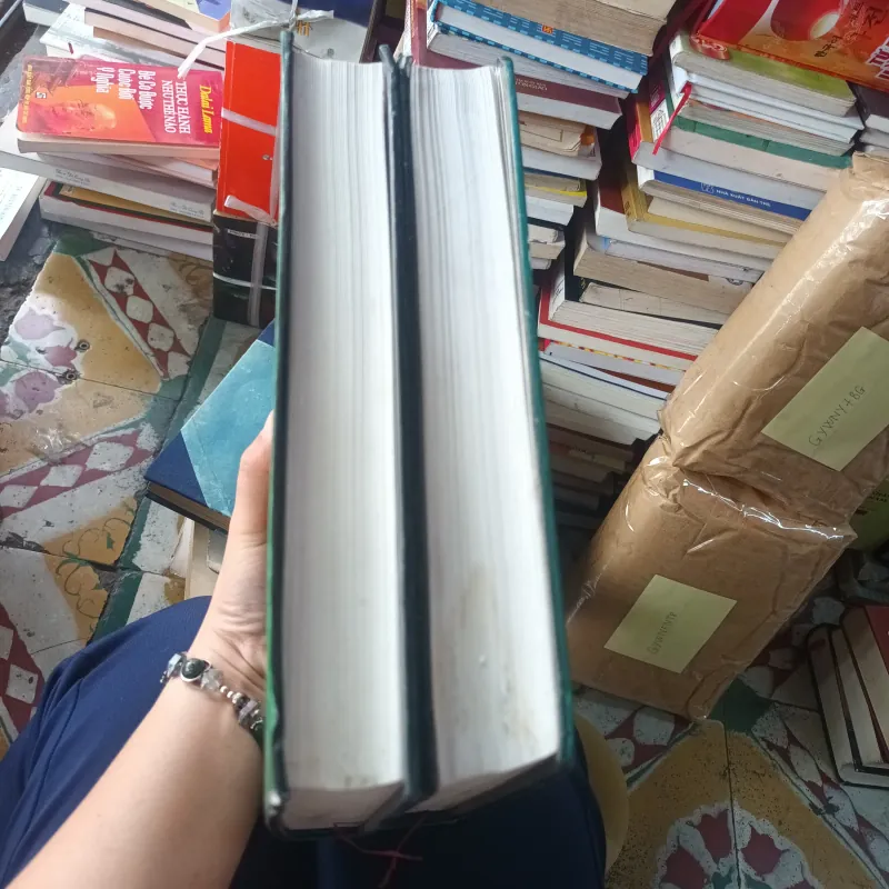 Anh Hùng Đông A Dựng Cờ Bình Mông - Yên Tử Cư Sĩ Trần Đại Sỹ 1027925