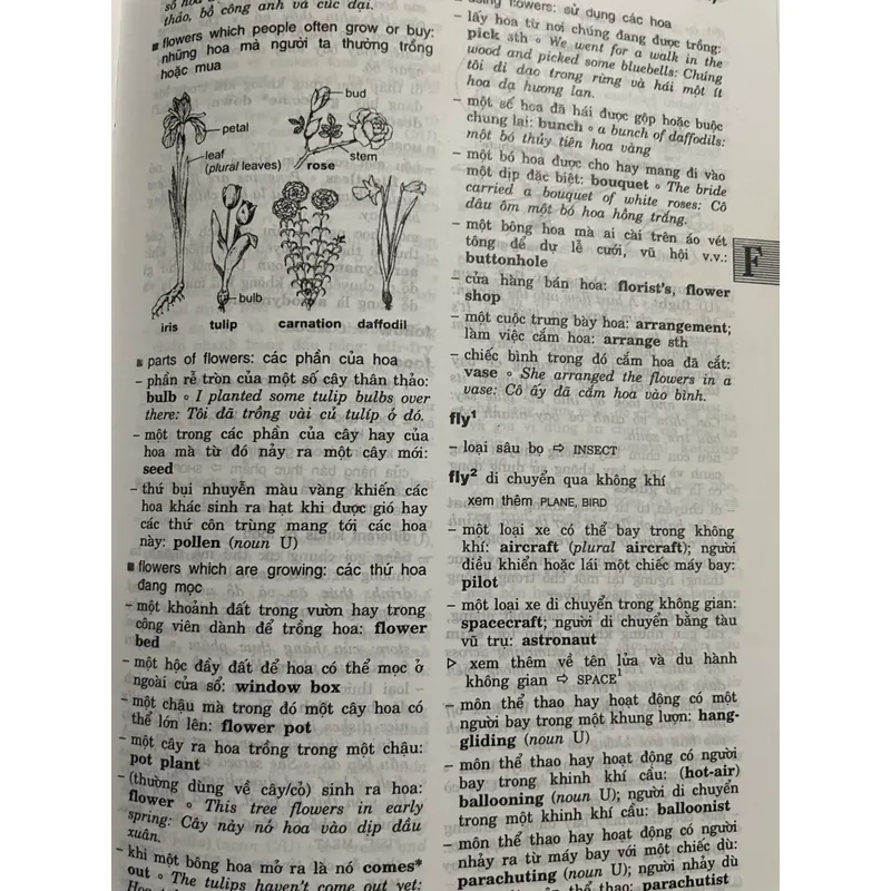 Từ điển Anh Việt, 920 trang, khổ lớn 432058