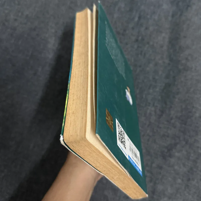 Hoa hồng xứ khác - Nguyễn Nhật Ánh 1023186