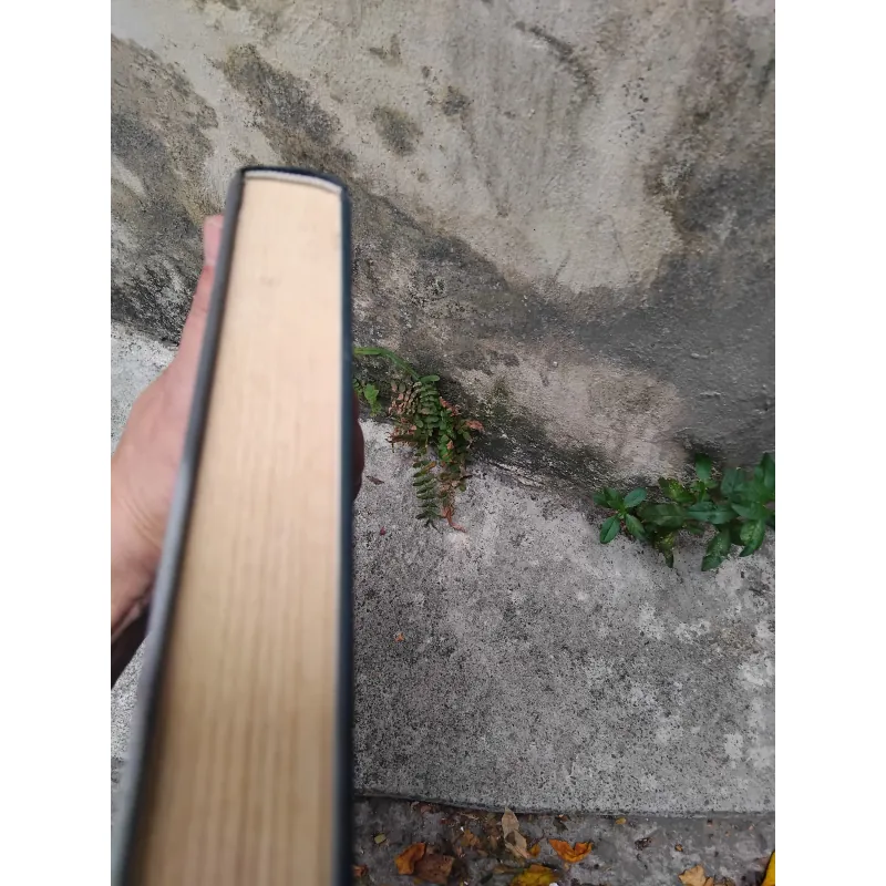 Cơ sở lý thuyết dịch đại cương của Andrey Fiodorov 1019239