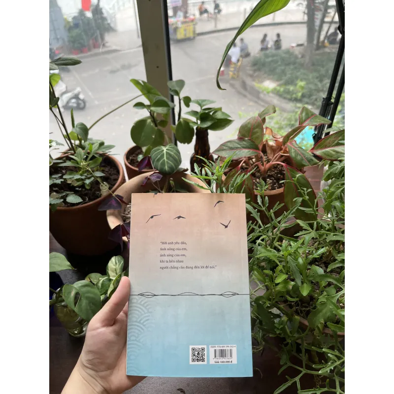 Bài Ca Ánh Sáng - Quỳnh Nguyễn 993605