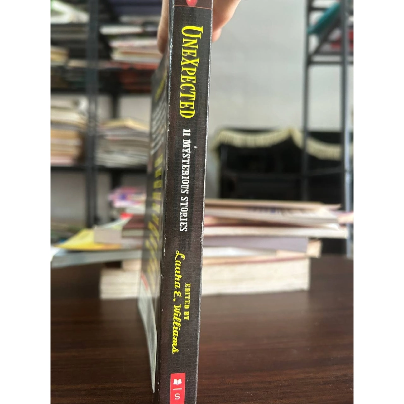 Unexpected: 11 Mysterious Stories - Laura E. Williams 933597