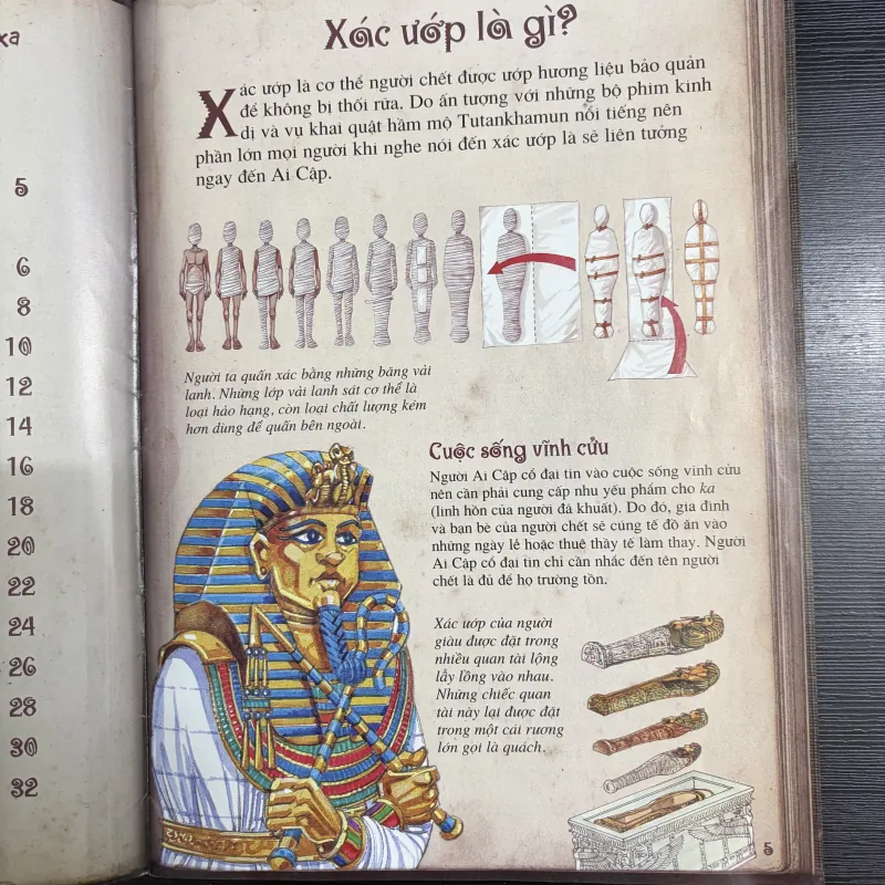 Combo 3 cuốn sách khoa học cho bé mê khám phá 926082