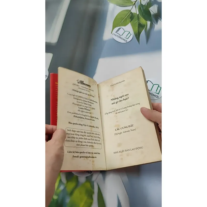 Những Ngôi Sao Nói Gì Cho Bạn: Các Cung Đất - Gary Goldschneider 776100