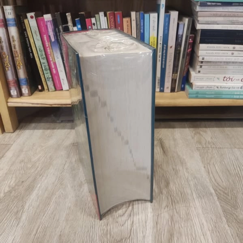 Từ Điển Việt Anh - Bùi Phụng 462599