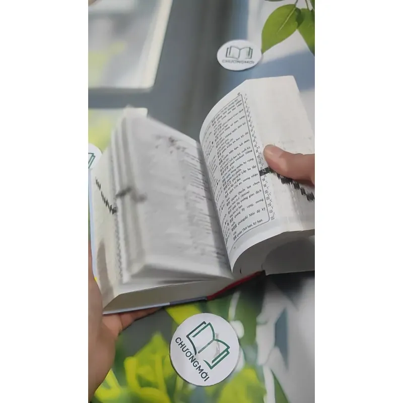 Từ Điển Hán - Việt 727392