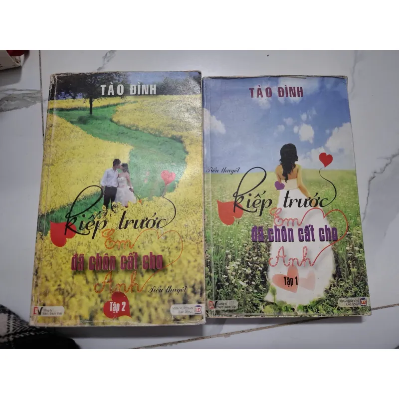 Kiếp trước em đã chôn cất cho anh (Tập 1 & 2) - Tào Đình - Tiểu thuyết (Ngôn tình) 622043