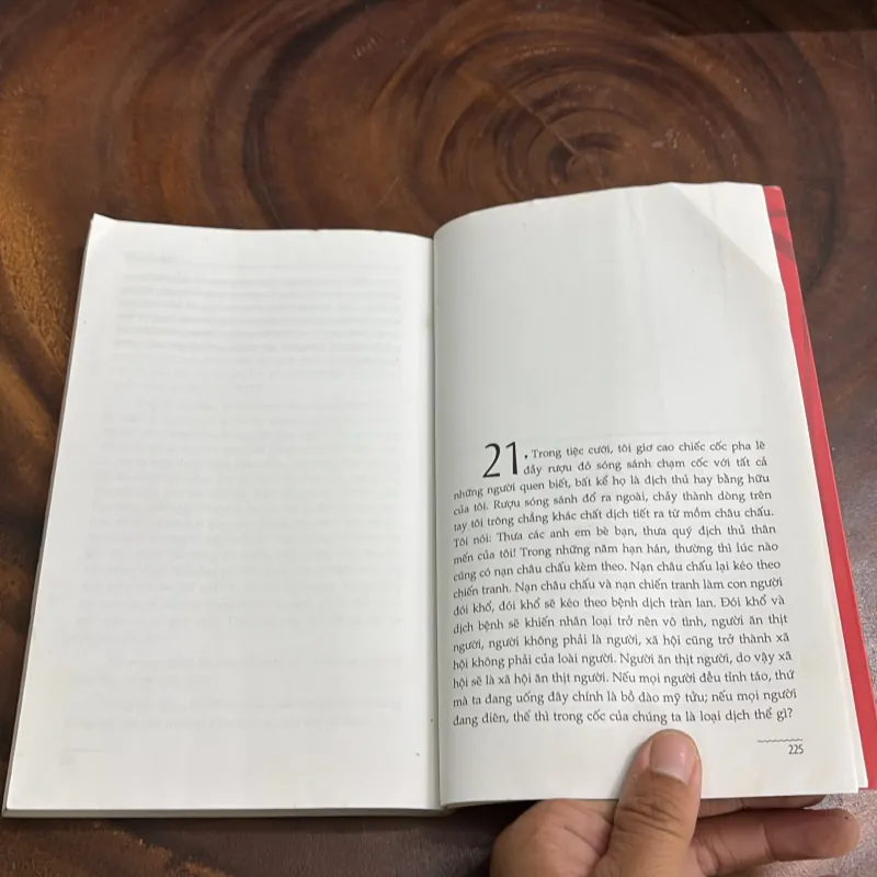 II Văn Học Trung Quốc: Châu Chấu Đỏ - Mạc Ngôn - Trần Trung Hỷ (Dịch) - 2008 997981