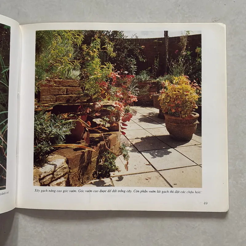 Cẩm nang lập vườn trong thành phố 720795