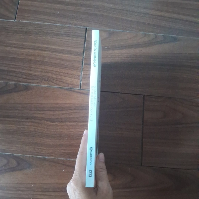 Những tản văn suýt bỏị quên của bọ Lập - Nguyễn Quang Lập 523189