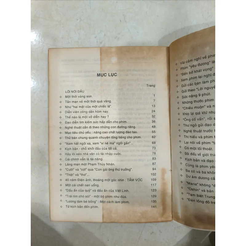 Tiểu luận phê bình điện ảnh 🌱 705454