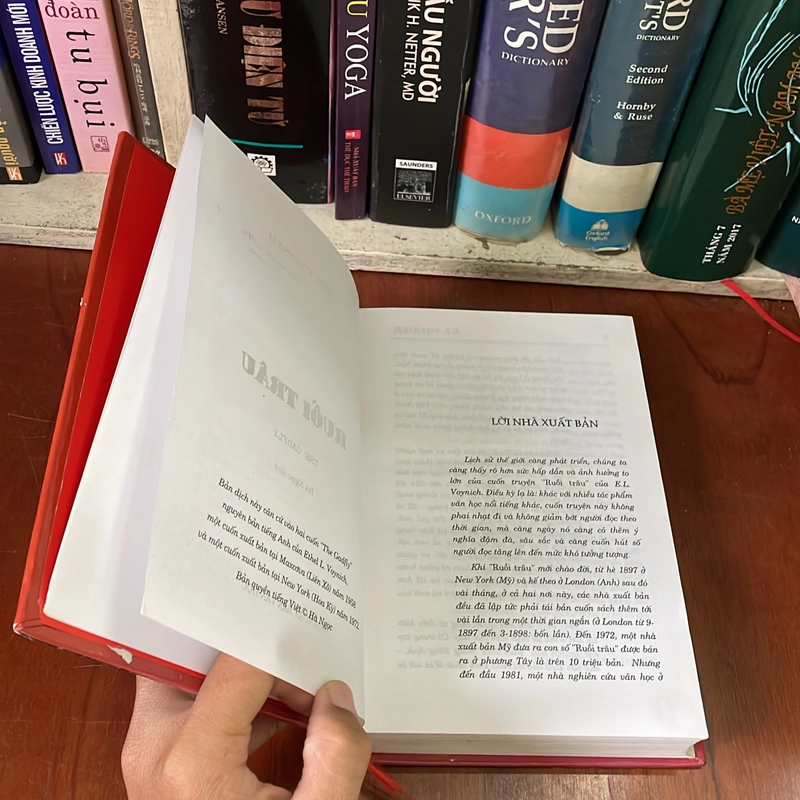II Tiểu Thuyết: Ruồi Trâu - ETHEL LILIAN VOYNICH - 2013 542732