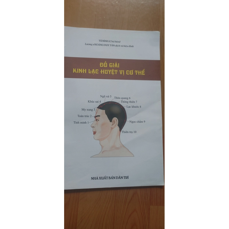 KINH LẠC HUYỆT VỊ  502885