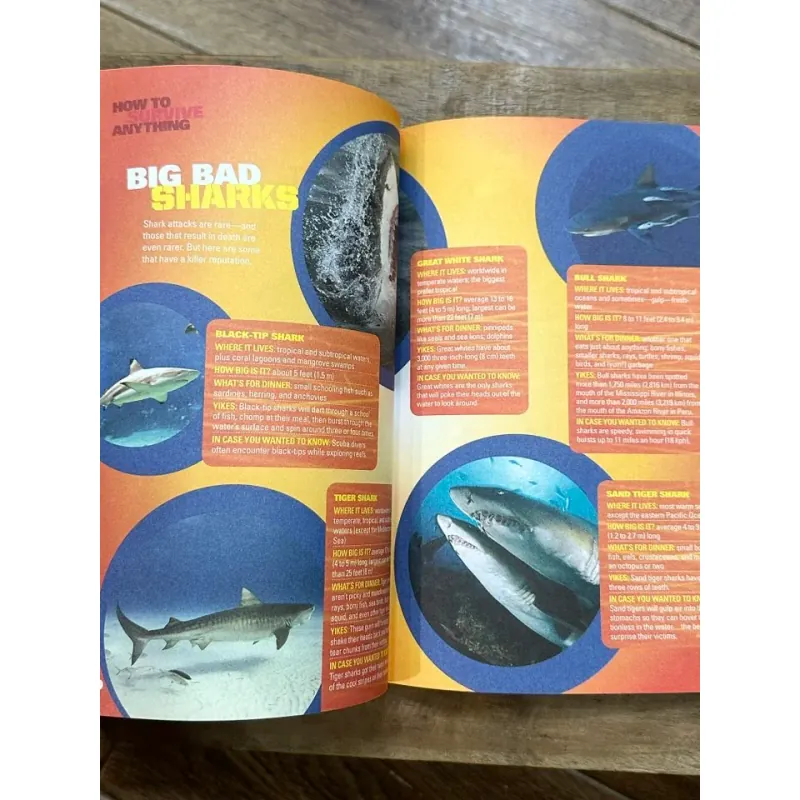 How to Survive Anything - Rachel Buchholz (National Geographic) 729084