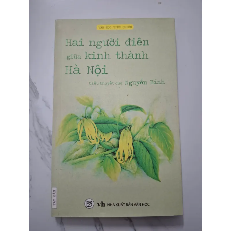Hai người điên giữa kinh thành Hà Nội – Nguyễn Bình 758864