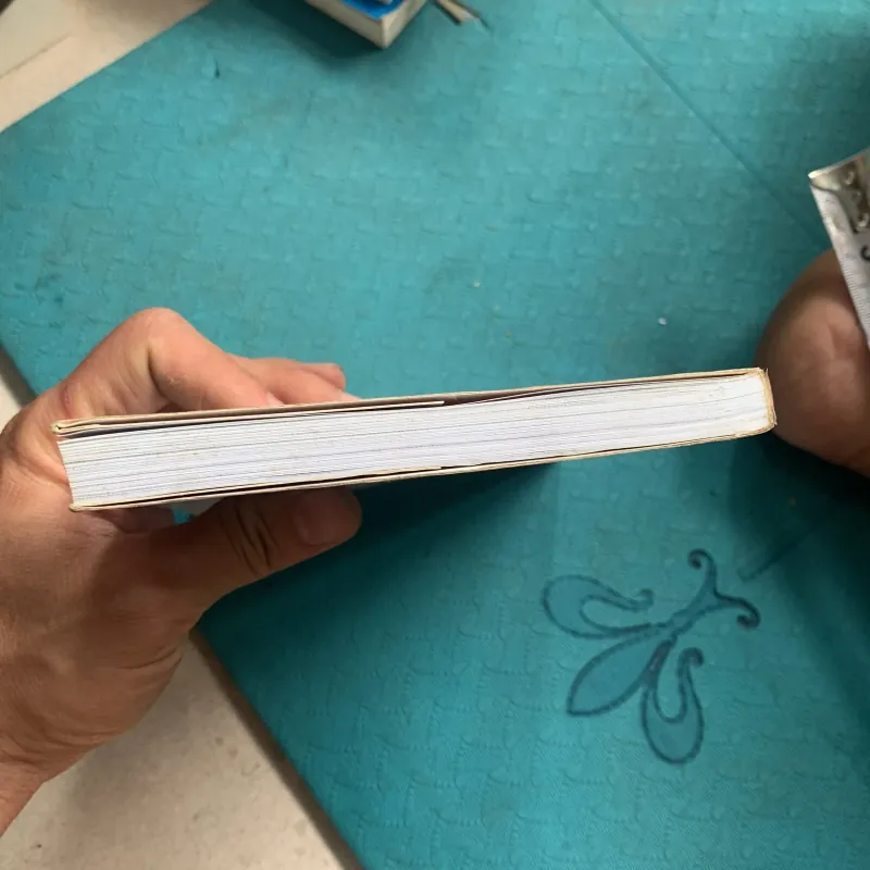 Sống sáng suốt 1002252