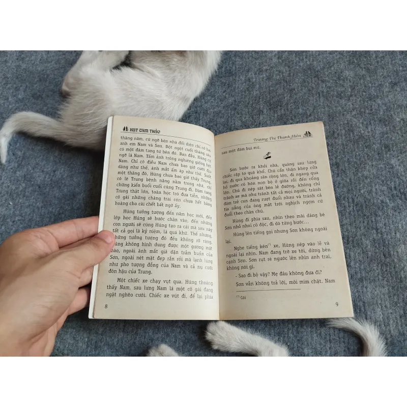 HẠT CAM THẢO - TRƯƠNG THỊ THANH HIỀN 567779