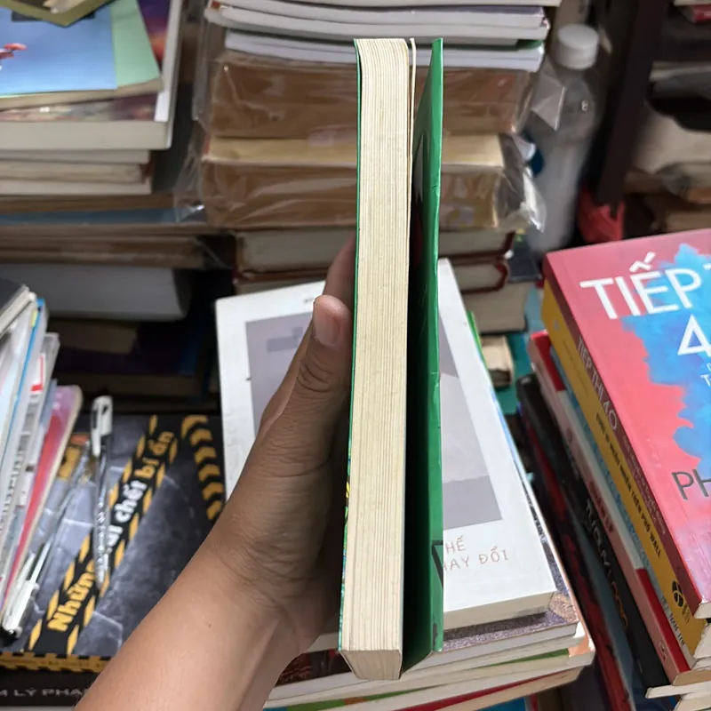 II Tiểu Thuyết: Vì Những Trái Dầu Cũng Có Đôi - Dương Xuân Thảo - 2011 695738