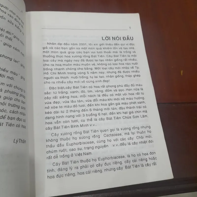 Huỳnh Văn Thới - XƯƠNG RỒNG BÁT TIÊN, kỹ thuật trồng, phương pháp lai tạo 737665