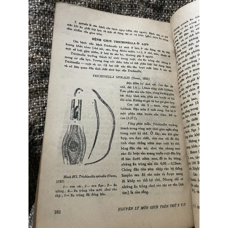Nguyên lý môn giun tròn thú y 2; 200 trang khổ lớn  1009223