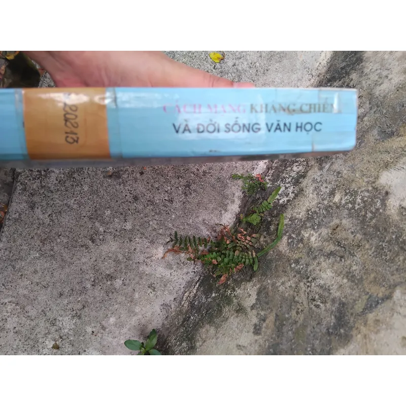 Cách mạng, kháng chiến và đời sống văn học 1945 - 1954 1019195