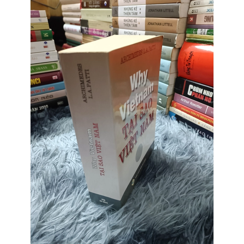Why Việt Nam (Patti) 553086