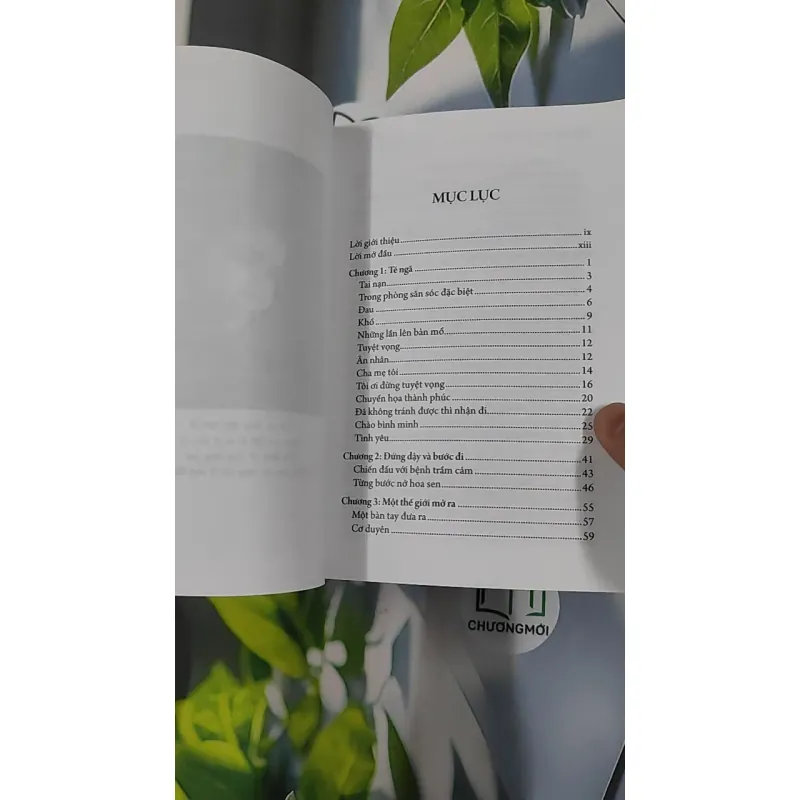 Đứng Dậy Và Bước Đi - Nguyễn Hướng Dương 798428