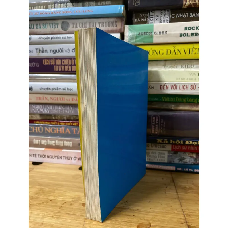 Sách cũ: Bức tranh toàn cảnh Thụy Điển - Hans-Ingvar Johnsson 1020124