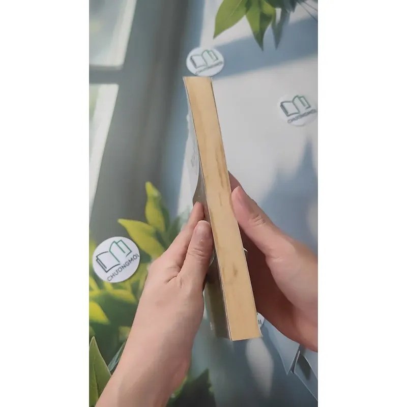 Trở Thành Người Ảnh Hưởng - John C. Maxwell & Jim Dornan 961209