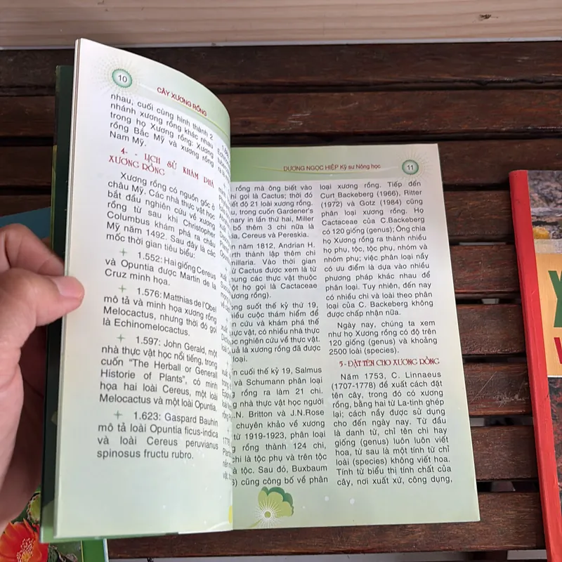 II Cây Cảnh: Xương Rồng Và Cây Mọng Nước (Sách Màu) - Dương Ngọc Hiệp 718583