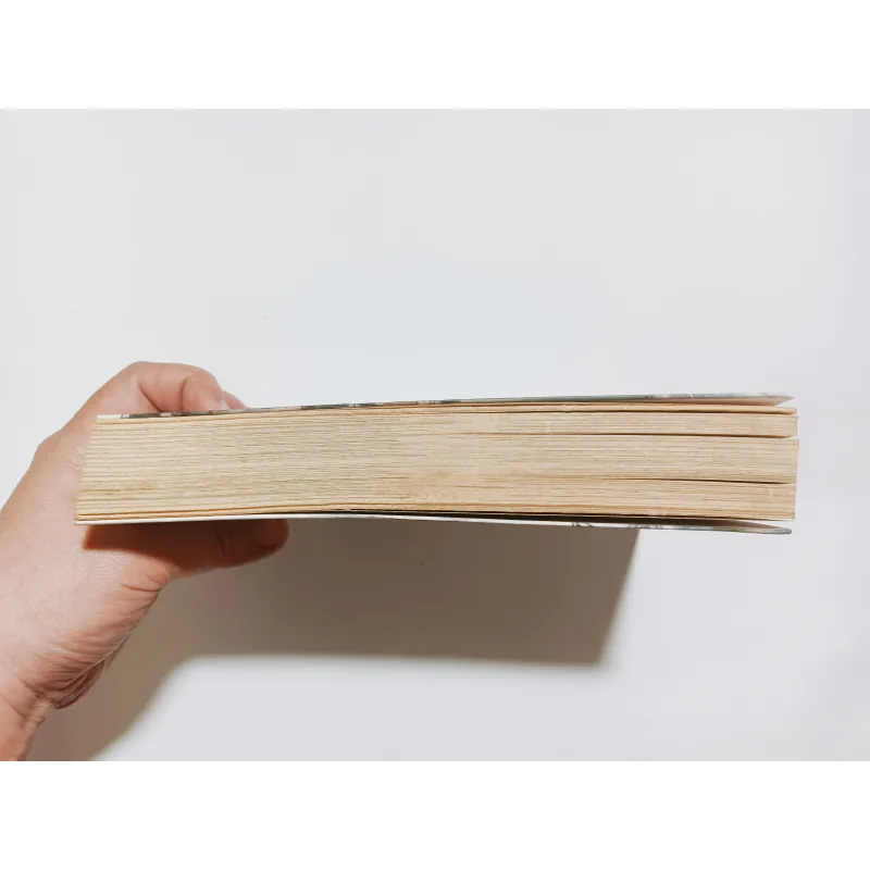 Venise Và Những Cuộc Tình Gondola 780100